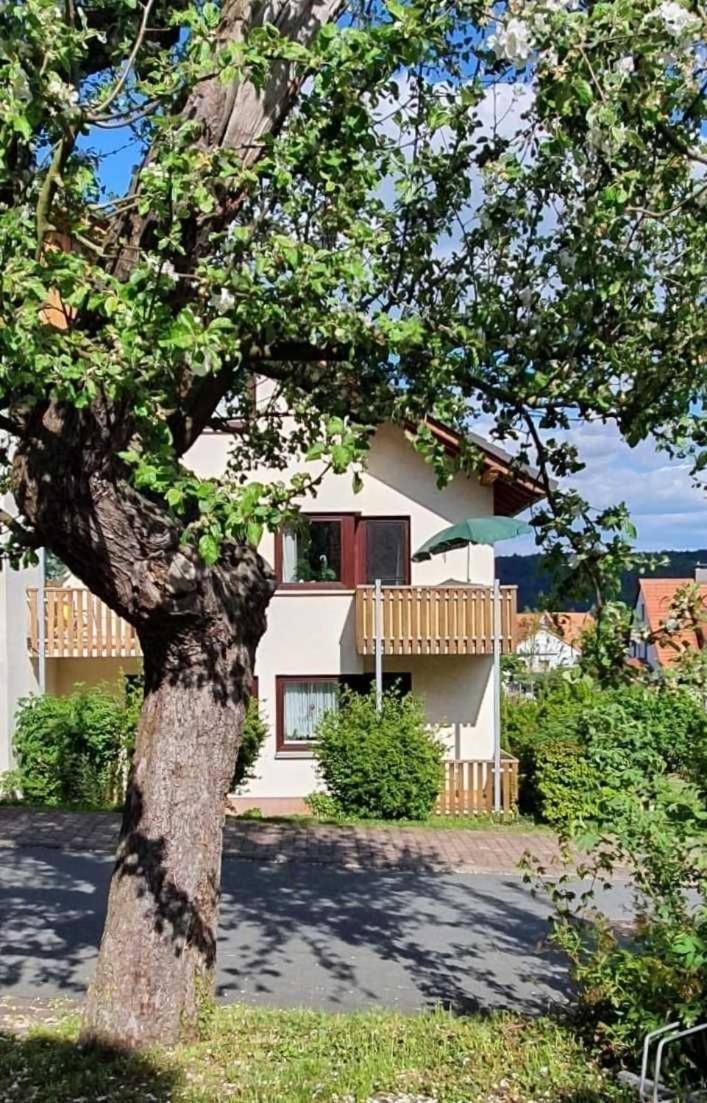 Appartamento Kleinod Am Kurpark Bad Zwesten Esterno foto